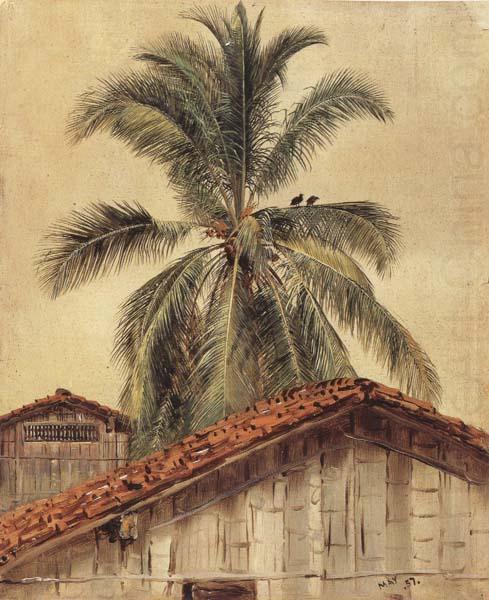 Frederic E.Church Palm Tres and Housetops,Ecuador china oil painting image